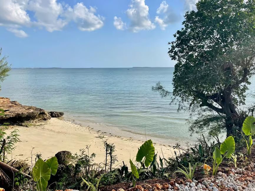 Zanzibar: Swahili Spice Farm Tour and Culinary Experience at Arnoldi’s on the Cliff