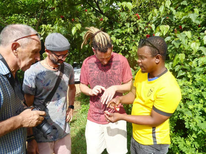 Zanzibar: Swahili Spice Farm Tour and Culinary Experience at Arnoldi’s on the Cliff