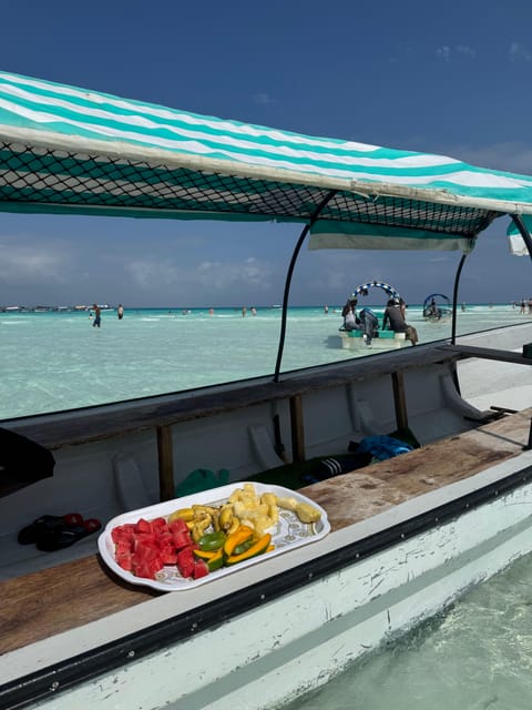 Zanzibar: Swim with Dolphins at Mnemba Island and Visit Turtles at Aquarium
