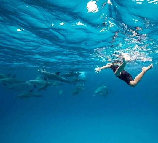 Zanzibar: Swim with Dolphins at Mnemba Island and Visit Turtles at Aquarium