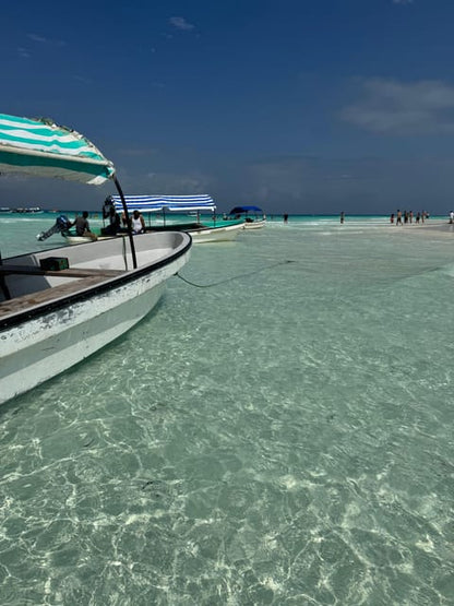 Zanzibar: Swim with Dolphins at Mnemba Island and Visit Turtles at Aquarium
