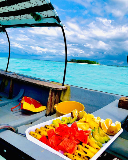 Zanzibar: Swim with Dolphins at Mnemba Island and Visit Turtles at Aquarium