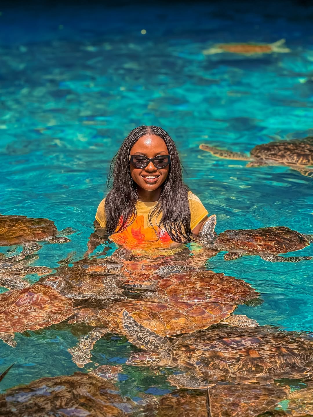 Zanzibar: Swim with Sea Turtles at Baraka or Salaam Aquarium