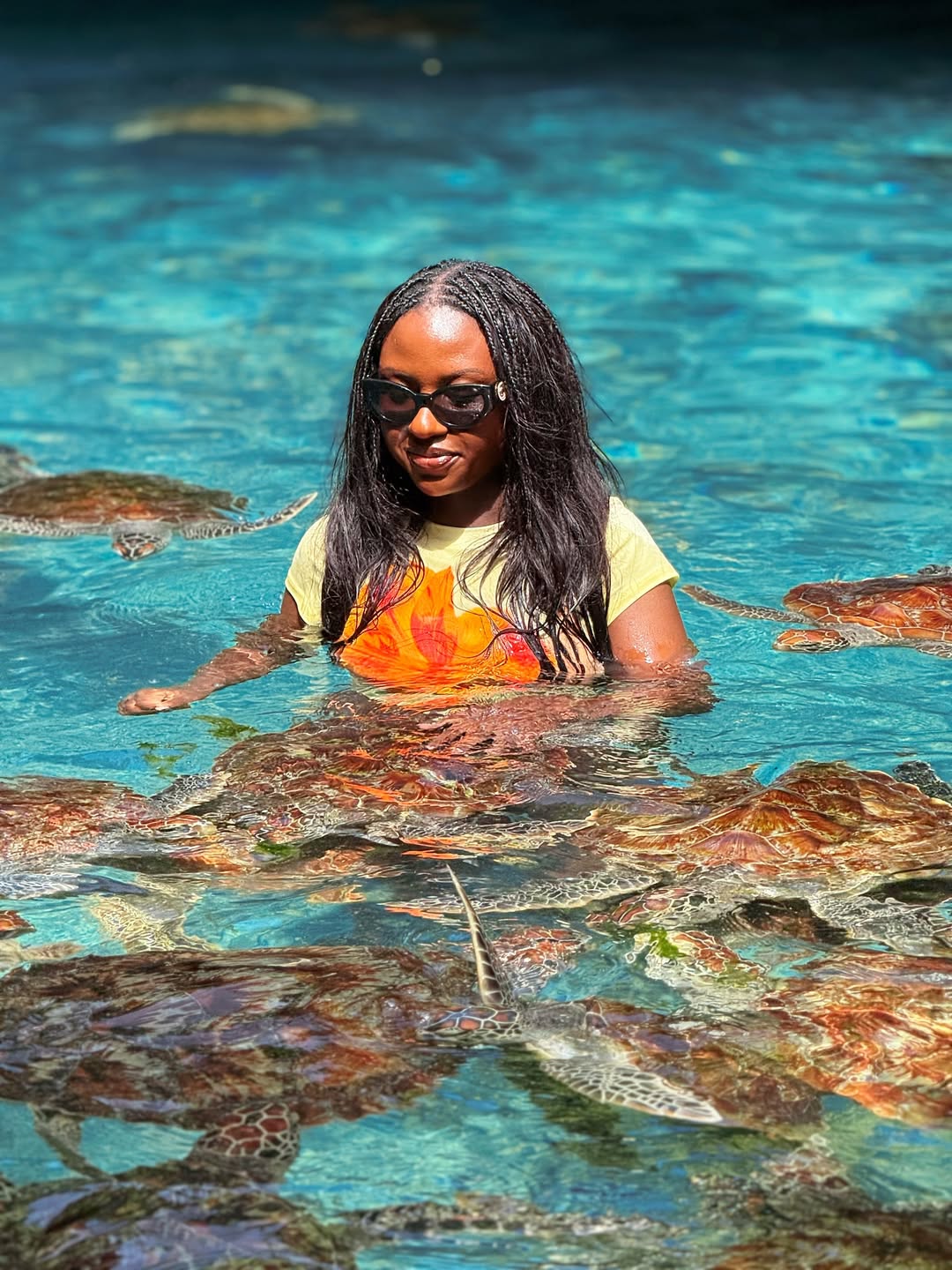 Zanzibar: Swim with Sea Turtles at Baraka or Salaam Aquarium