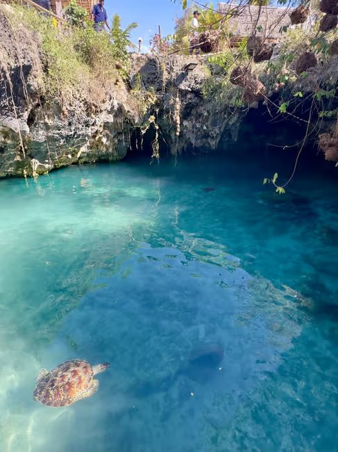 Zanzibar: Swim with Sea Turtles at Salaam Cave