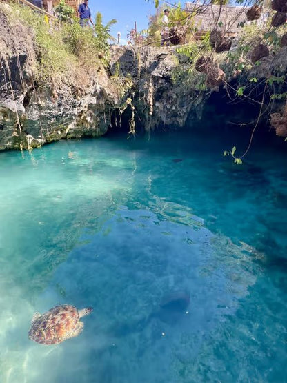 Zanzibar: Swim with Sea Turtles at Salaam Cave