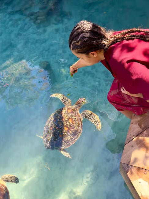 Zanzibar: Swim with Sea Turtles at Salaam Cave