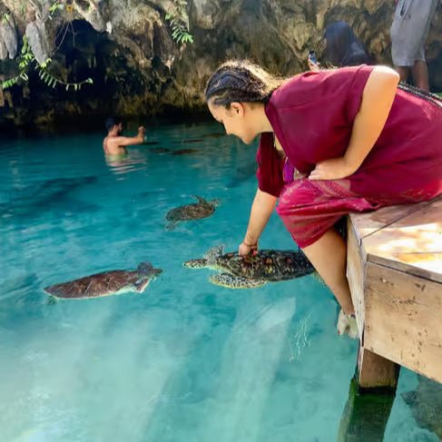 Zanzibar: Swim with Sea Turtles at Salaam Cave
