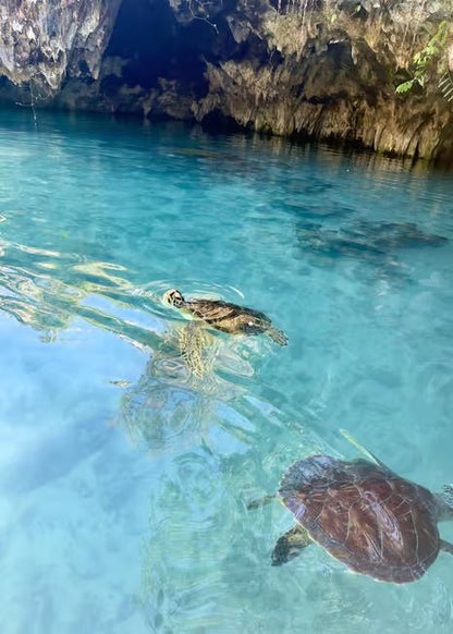 Zanzibar: Swim with Sea Turtles at Salaam Cave