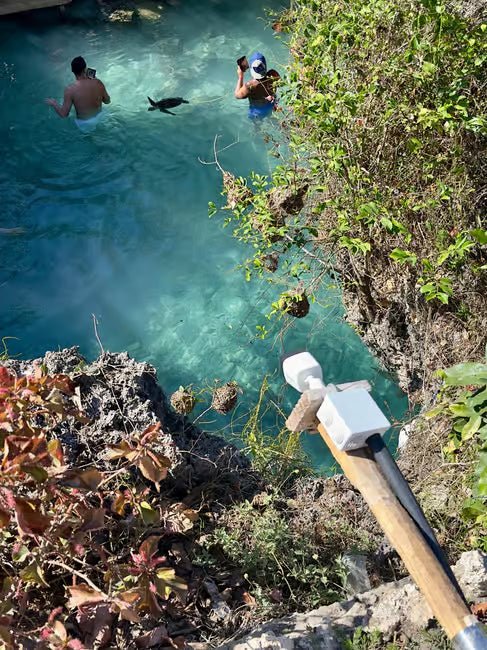 Zanzibar: Swim with Sea Turtles at Salaam Cave