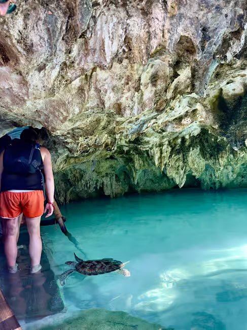 Zanzibar: Swim with Sea Turtles at Salaam Cave