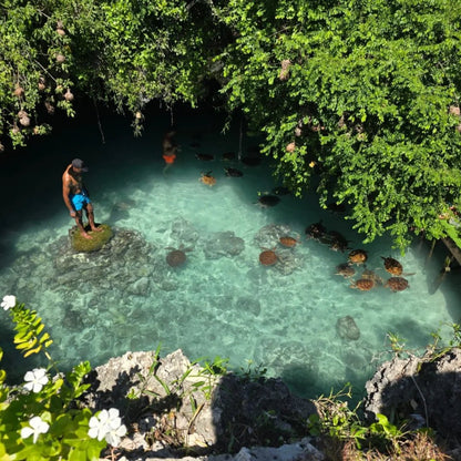 Zanzibar: Swim with Turtles at Salaam Cave Sanctuary in Kizimkazi