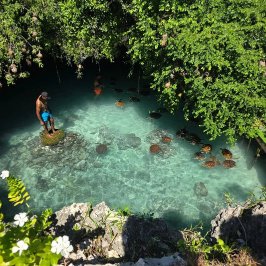 Zanzibar: Swim with Turtles at Salaam Cave Sanctuary in Kizimkazi