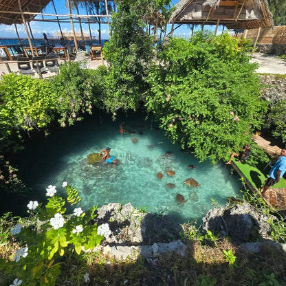Zanzibar: Swim with Turtles at Salaam Cave Sanctuary in Kizimkazi