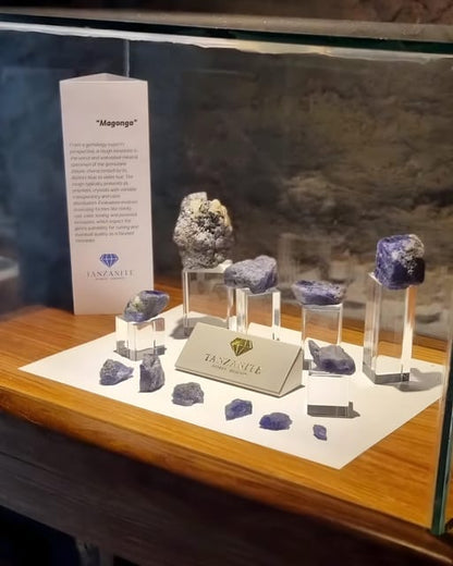 Zanzibar: Tanzanite Museum Tour with Jewelry Shop Visit