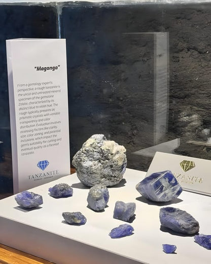 Zanzibar: Tanzanite Museum Tour with Jewelry Shop Visit