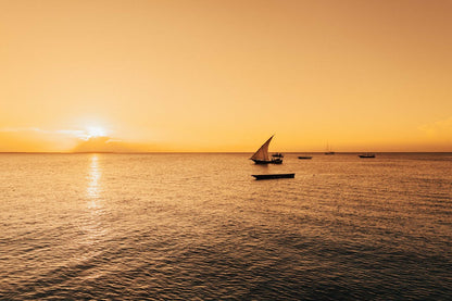 Zanzibar: Traditional Sunset Dhow Cruise from Nungwi or Kendwa