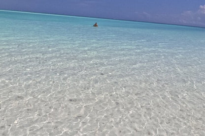 Zanzibar: Transparent Kayak Tour with Drone Photos