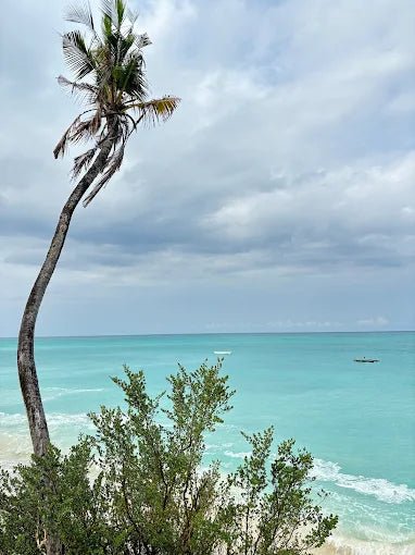 Zanzibar: Transparent Kayak Tour with Drone Photos