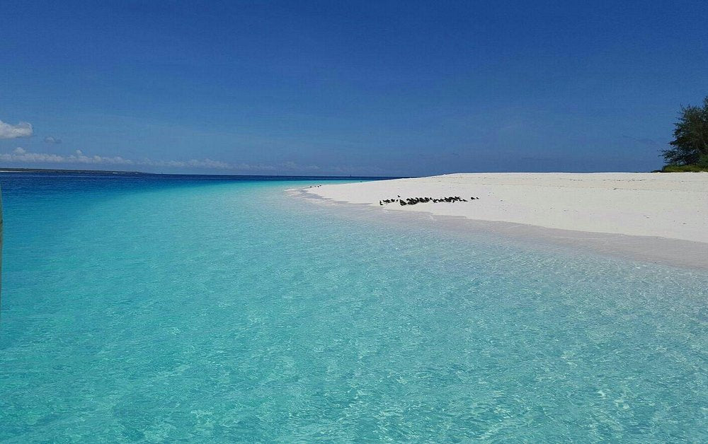 Zanzibar: Transparent Kayak Tour with Drone Photos