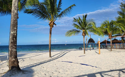 Zanzibar: Transparent Kayak Tour with Drone Photos