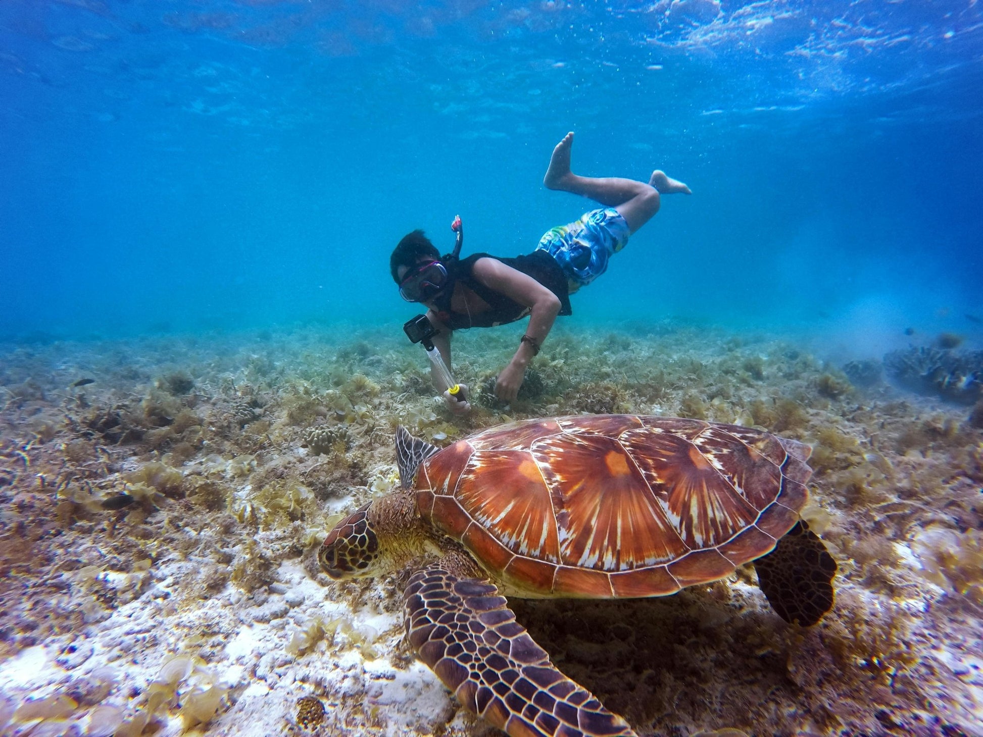 Zanzibar: Tumbatu Island Snorkeling and Sunset Dhow Cruise