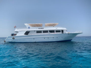 El Gouna: Gita di un giorno per snorkeling
