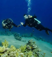 Sharm El Sheikh: Avventura di Immersione alla Moda nel Mar Rosso per Subacquei Qualificati