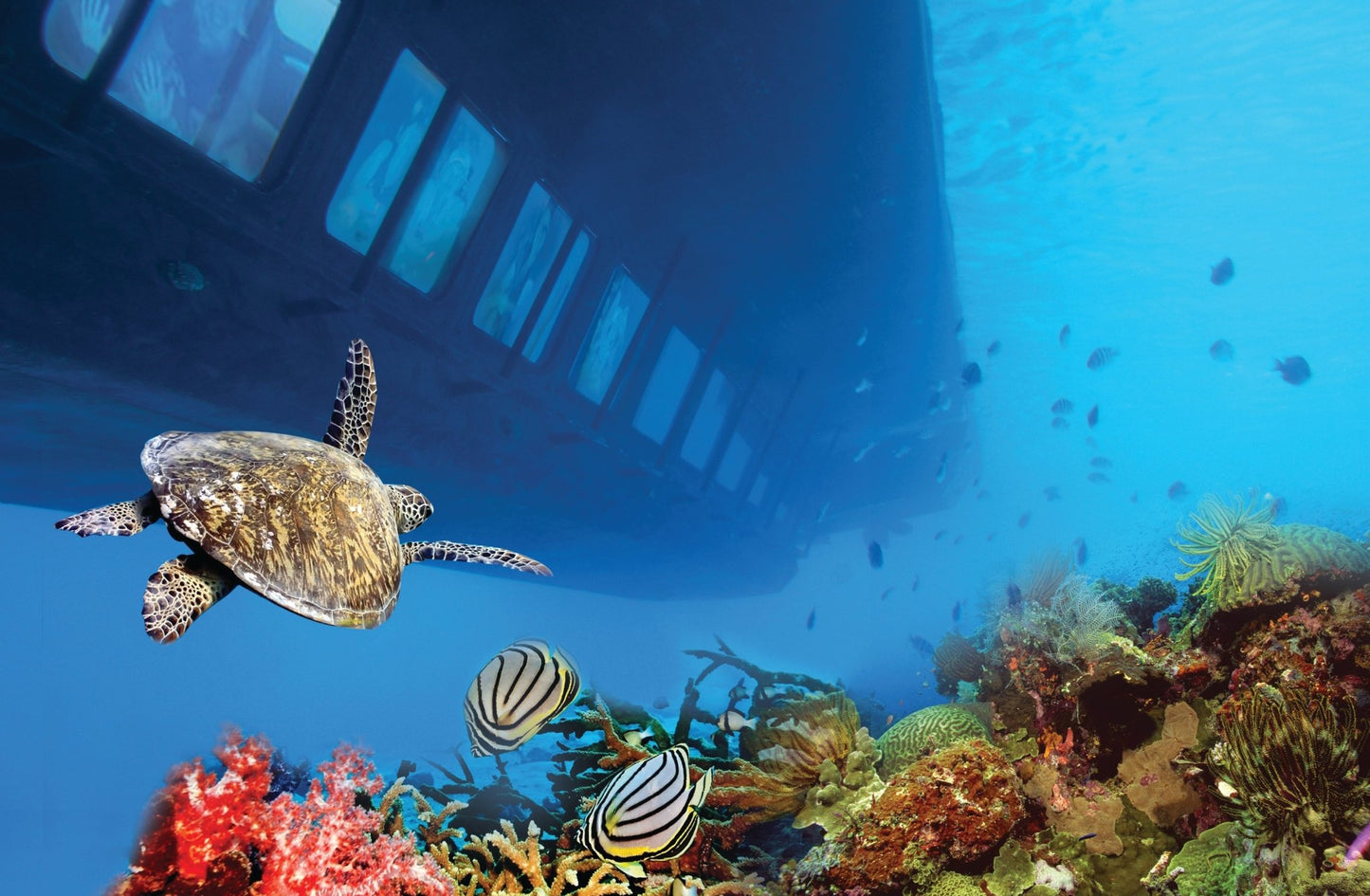 Hurghada: U-Boot-Kreuzfahrt mit dem Royal Seascope Glass Boat und Schnorcheln