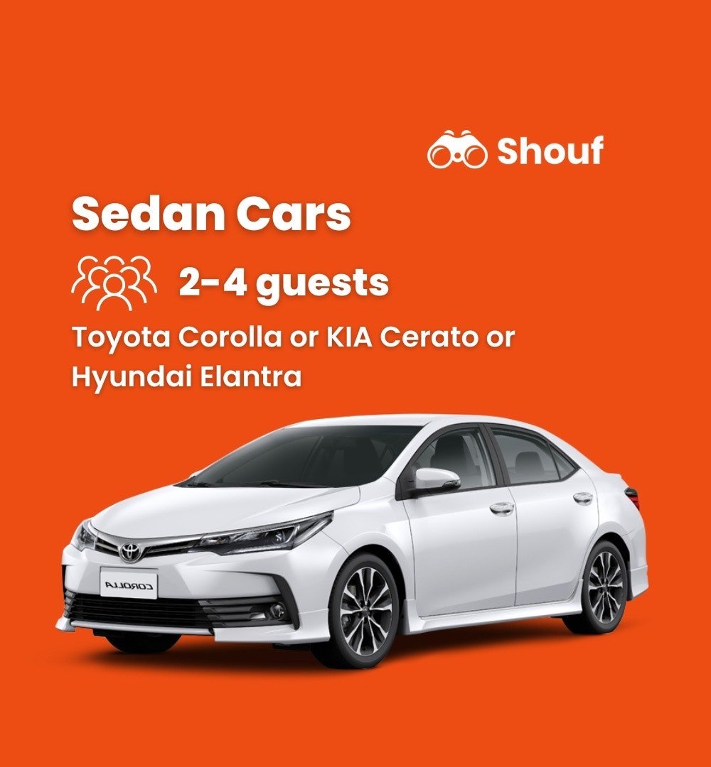 Cairo: Full Day Private Car or Van Rental with Driver