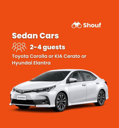 Cairo: Full Day Private Car or Van Rental with Driver