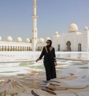 Din Dubai: Tur Mare Moschee și Muzeul Luvru din Abu Dhabi