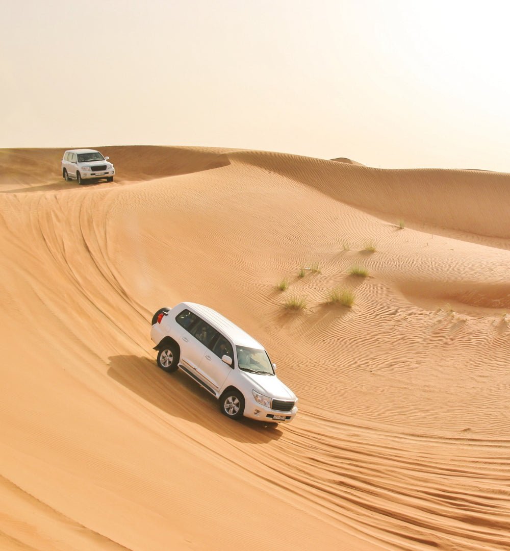 Doha: 4x4 Half-Day Desert Safari, Camel Ride, Sandboarding and Inland Sea Tour