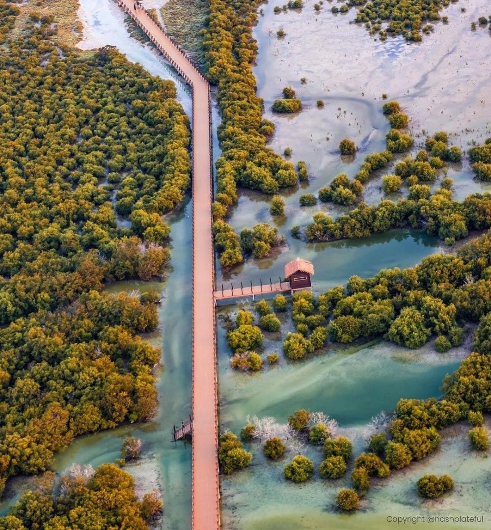 Doha: Fliegen Sie mit einem Gyrocopter über den Mangrovenwald