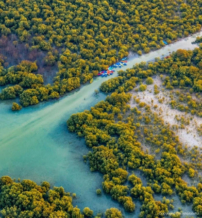 Doha: Erleben Sie einen Flug über den Mangrovenwald von Al Khor (bis zu 1 Passagier)
