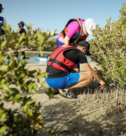 Doha : expérience de kayak dans les mangroves sur l'île violette d'Al Khor