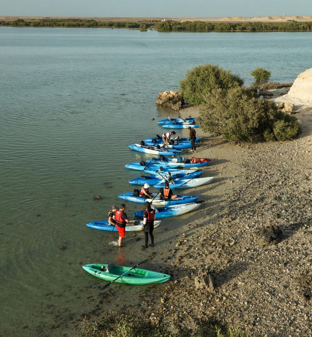 Doha : expérience de kayak dans les mangroves sur l'île violette d'Al Khor