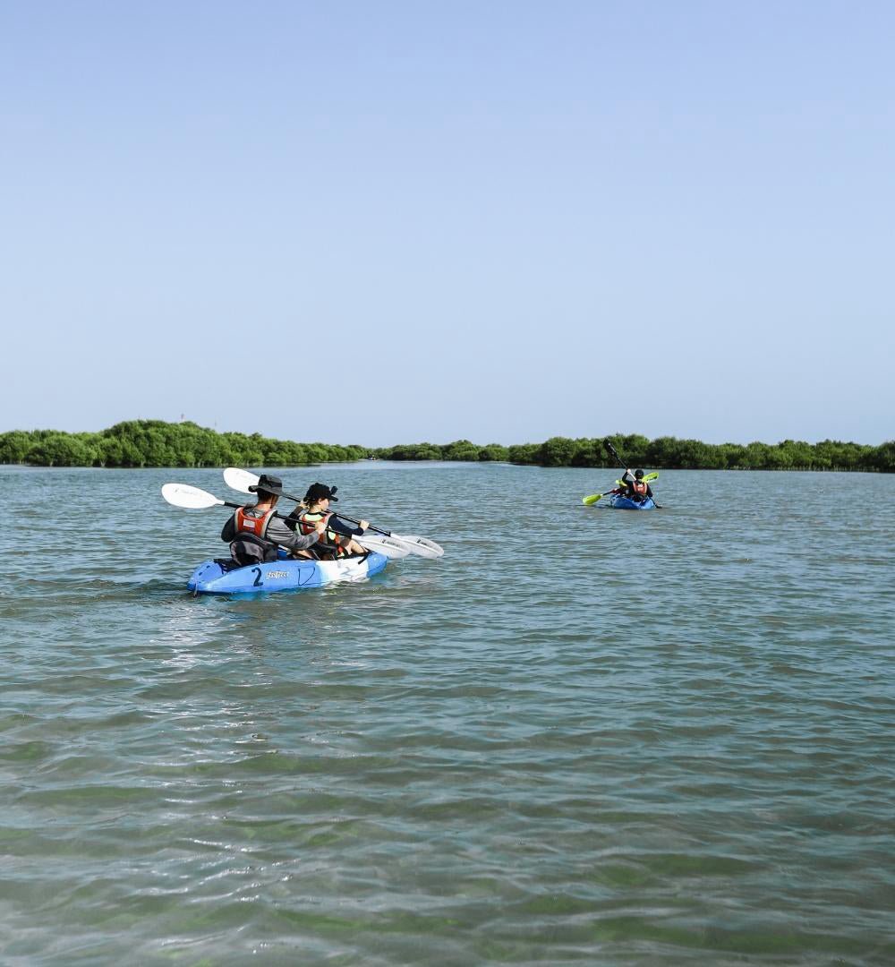 Doha : expérience de kayak dans les mangroves sur l'île violette d'Al Khor