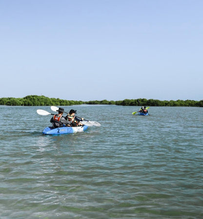 Doha : expérience de kayak dans les mangroves sur l'île violette d'Al Khor