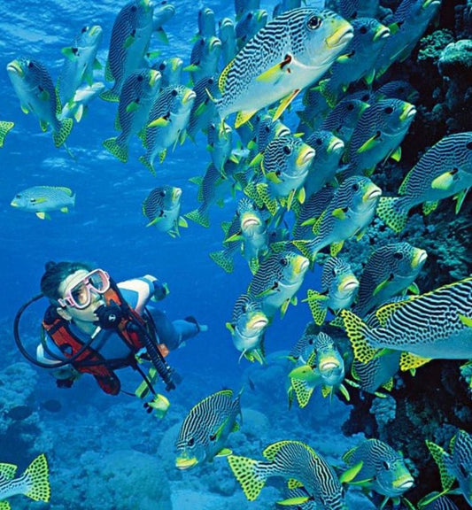 Hurghada: Schnorchel-6-in-1-Yachtausflug mit Mittagsbuffet