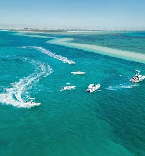 Hurghada: Delfinbeobachtungs-Schnellboot-Erlebnis