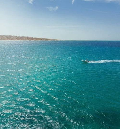 Hurghada: Ausflug zur Orange Bay Island mit dem Schnellboot
