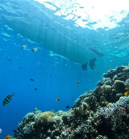 Hurghada: Wyspy i nurkowanie łodzią motorową