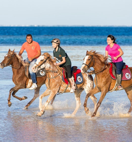 Hurghada: Morning Horse Riding Experience