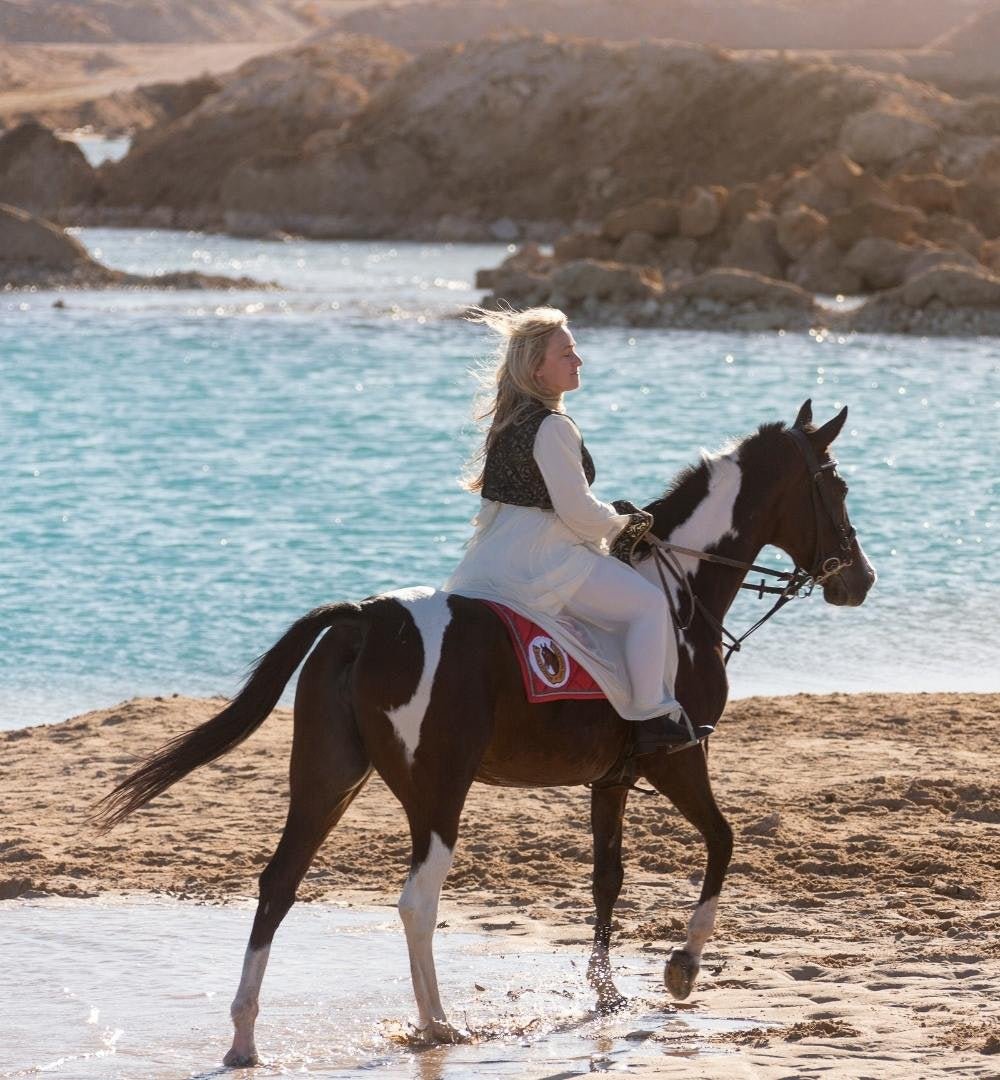 Hurghada : expérience d'équitation le matin