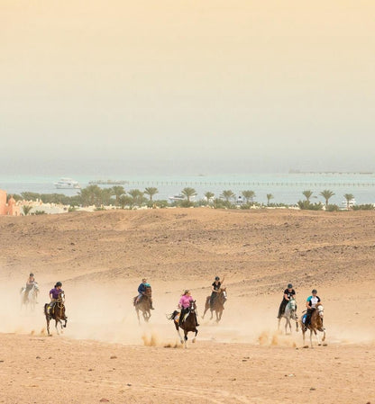Hurghada: poranna jazda konna