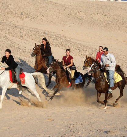 Hurghada: poranna jazda konna