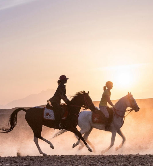 Hurghada: Sunset Horse Riding Experience
