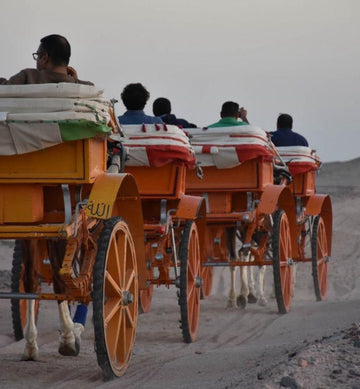 Hurghada: Star Watching Experience in the Desert