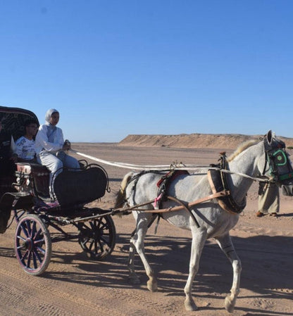 Hurghada : expérience d'observation des étoiles dans le désert